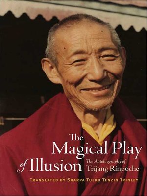 cover image of The Magical Play of Illusion